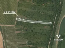 Prodej zahrady, Žarošice, 2601 m2
