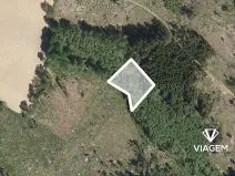 Prodej podílu lesa, Chýstovice, 669 m2