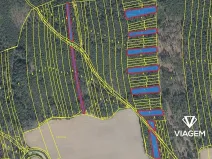 Prodej podílu lesa, Koloveč, 2599 m2