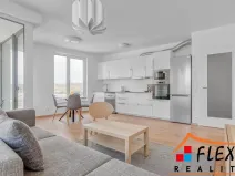 Pronájem bytu 2+kk, Ostrava, F. X. Riepla, 68 m2