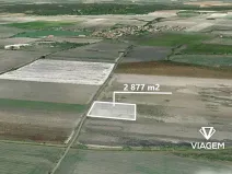 Prodej pole, Sudovo Hlavno, 2877 m2