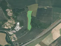 Prodej louky, Starý Plzenec, 25956 m2