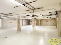 Pronájem výrobních prostor, Olomouc, Hamerská, 220 m2