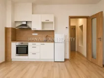 Pronájem bytu 1+kk, České Budějovice, 33 m2
