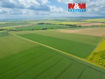 Prodej pole, Šumice, 37901 m2