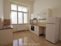 Pronájem bytu 1+1, Brno, Česká, 55 m2