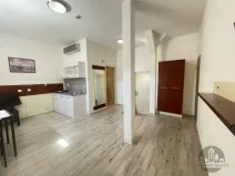 Pronájem bytu 1+kk, Praha - Žižkov, Prokopova, 24 m2