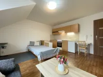 Pronájem bytu 1+kk, Olomouc - Nová Ulice, Balcárkova, 25 m2