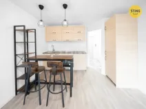 Pronájem bytu 1+kk, Frýdek-Místek, Topolová, 24 m2