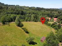 Prodej pozemku pro bydlení, Olešnice v Orlických horách, 3728 m2