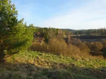 Prodej pozemku, Uhřínov, 3528 m2