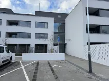 Pronájem bytu 1+kk, Ostrava - Slezská Ostrava, U Hájenky, 38 m2