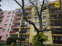 Pronájem bytu 1+1, Opava, 17. listopadu, 38 m2