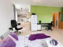Pronájem bytu 1+kk, Brno, Bešůvka, 38 m2