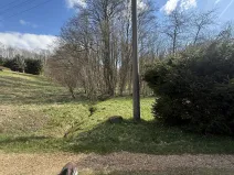 Prodej lesa, Výprachtice, 1892 m2