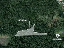 Prodej podílu lesa, Dašice, 3483 m2