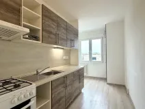 Pronájem bytu 1+1, Cheb, Májová, 42 m2