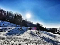 Prodej zahrady, Boskovice, Mánesova, 756 m2