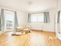 Prodej bytu 1+1, Brno, Čápkova, 54 m2