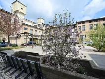 Pronájem ordinace, Hradec Králové, Pospíšilova, 55 m2