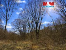 Prodej lesa, Snědovice - Střížovice, 2037 m2