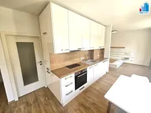Pronájem bytu 1+kk, Plzeň, Strnadova, 54 m2
