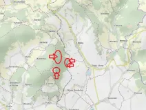 Prodej podílu lesa, Nová Hradečná, 2498 m2