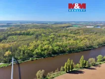 Prodej lesa, Přerov nad Labem, 70048 m2