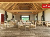 Prodej komerčního pozemku, Velká nad Veličkou, 4667 m2