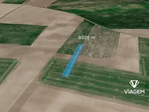 Prodej podílu pole, Trojovice, 4014 m2