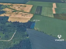 Prodej podílu lesa, Sviny, 1377 m2