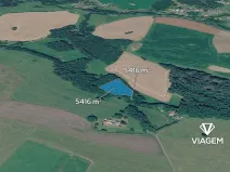 Prodej lesa, Pustá Kamenice, 5416 m2