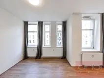 Pronájem bytu 1+kk, Praha - Vinohrady, Lucemburská, 300 m2