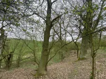 Prodej pozemku, Štětí - Brocno, 1107 m2