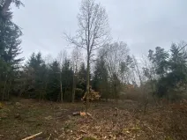 Prodej lesa, Blížejov - Lštění, 6627 m2