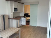 Pronájem bytu 1+kk, Hradec Králové, Brožíkova, 22 m2