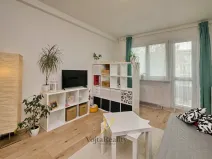 Pronájem bytu 1+1, Olomouc - Nová Ulice, Dělnická, 41 m2