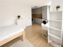 Pronájem bytu 1+kk, Opava, 25 m2