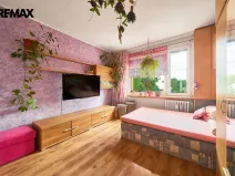 Prodej bytu 1+1, Hradec Králové - Pražské Předměstí, Jungmannova, 41 m2
