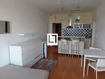 Pronájem bytu 1+kk, Olomouc, Mošnerova, 37 m2