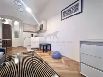 Pronájem bytu 1+kk, Praha - Josefov, Elišky Krásnohorské, 22 m2