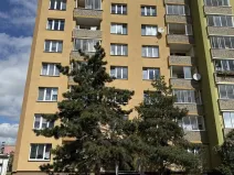 Pronájem bytu 1+1, Žatec, Mládežnická, 36 m2