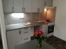 Prodej bytu 2+kk, Ostrava - Moravská Ostrava, Zelená, 45 m2