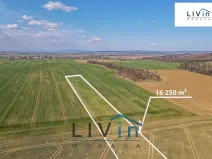 Prodej pole, Velký Týnec, 16250 m2