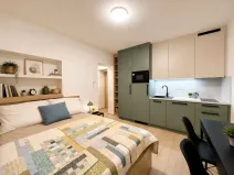 Pronájem bytu 1+kk, Brno, Francouzská, 22 m2