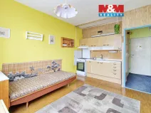 Prodej bytu 1+1, Litvínov - Horní Litvínov, Čapkova, 36 m2