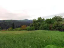 Prodej pozemku pro bydlení, Mikulůvka, 2166 m2