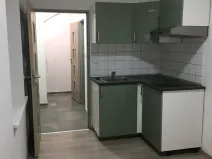 Pronájem bytu 1+kk, Brno, Křenová, 20 m2