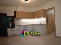 Pronájem bytu 3+kk, České Budějovice - České Budějovice 3, Hálkova, 54 m2