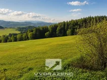 Prodej louky, Háje nad Jizerou, 5618 m2